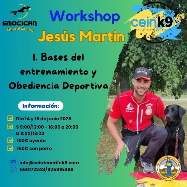 Workshop Jesús Martín: I. Bases del entrenamiento y obediencia deportiva